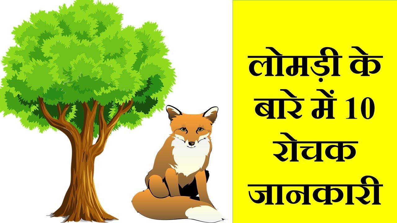 short essay on fox in hindi language