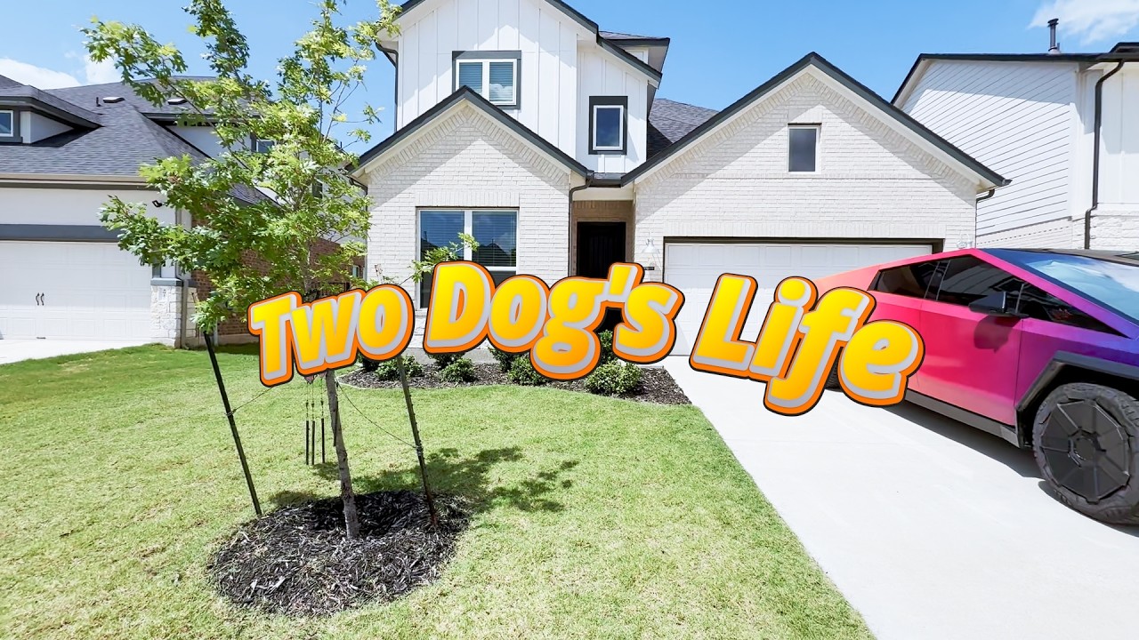 Two Dog's Life