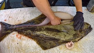 Halibut fishing: catch clean cook  How to Fish for Halibut & Cook Halibut