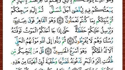ختمة مصحف التجويد برواية قالون الصفحة رقم 135