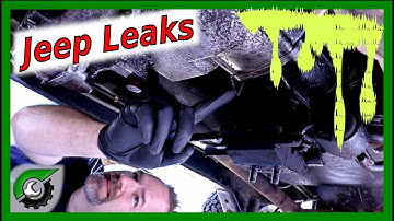 Jeep Wrangler Transfer Case Seals:  Transmission Leak