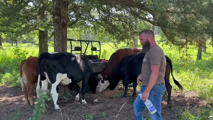 The one time Rufus got me good #rufusthebull