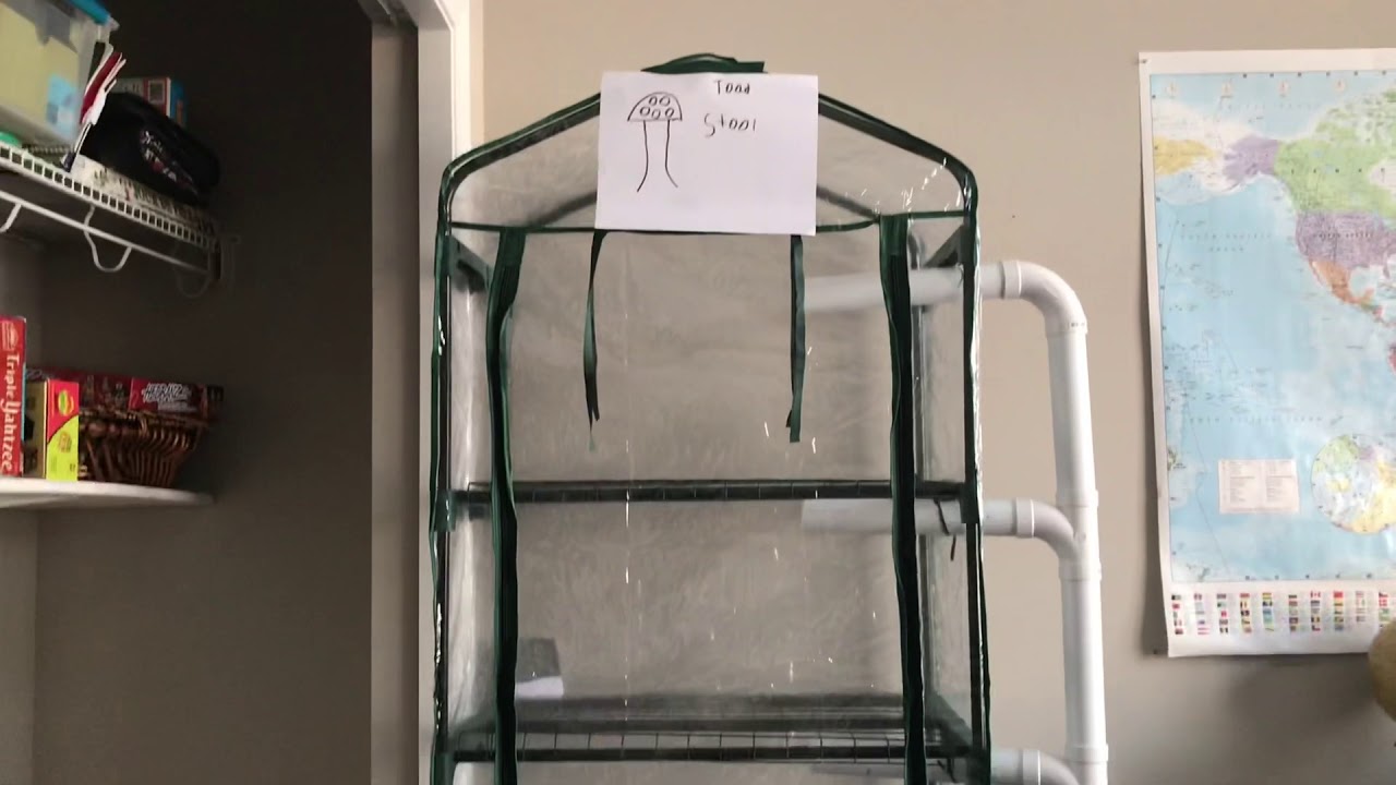 Our mushroom growing set up YouTube