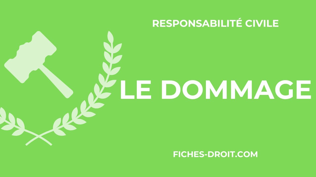 Le dommage (Responsabilité civile) : définition et caractères
