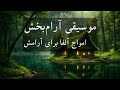 موسیقی بی کلام ایرانی و آرامش در کلبه ای دوردست چطور استرس را با فرکانس آلفا مغز از بین ببریم