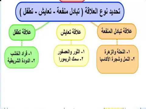 التقايض والتعايش من أنماط علاقة التكافل.