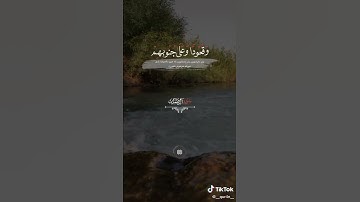 سورة آل عمران القرآن الكريم بصوت القارئ سعد الغامدي