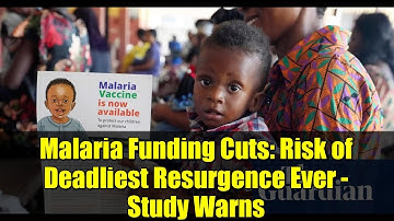 Malaria Funding Cuts: Risk of Deadliest Resurgence Ever - Study Warns