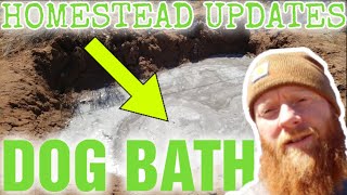 Homestead Updates | Dog Bath & Blow Dry