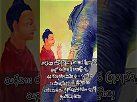 🍀 ညှာတာလိုက်ပါ🍀#crd #buddhahistory