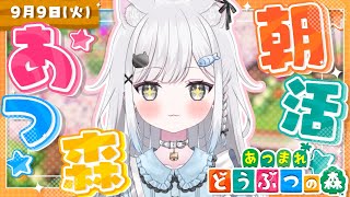 キムチキャットの配信のサムネイル画像