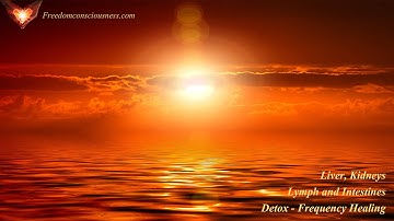 Liver, Kidneys, Lymph and Intestines Detox Frequency Healing - Organ Cleanse and Detox