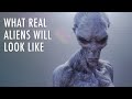 Exploring the Possibility of Alien Life