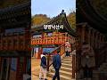양양낙산사 바닷가사찰 #shorts #travel #멋진하늘 #하늘하늘 #nature #자연 #사찰 #사찰여행 #반야심경 #소원성취 #korean Temple