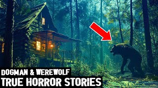 18 TRUE EXTREMELY INSANE SCARY DOGMAN \u0026 CRYPTID HORROR STORIES (DOGMAN, SASQUATCH, WENDIGO, RAKE)