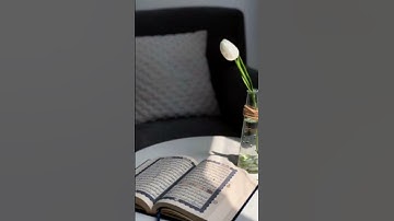 القرآن الكريم راحة نفسية #تعليق #اكسبلور #لايك #مشاركة #إشتراك #انشر_تؤجر