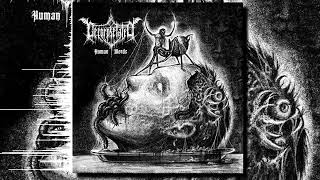 Decorpsetated — Human Words