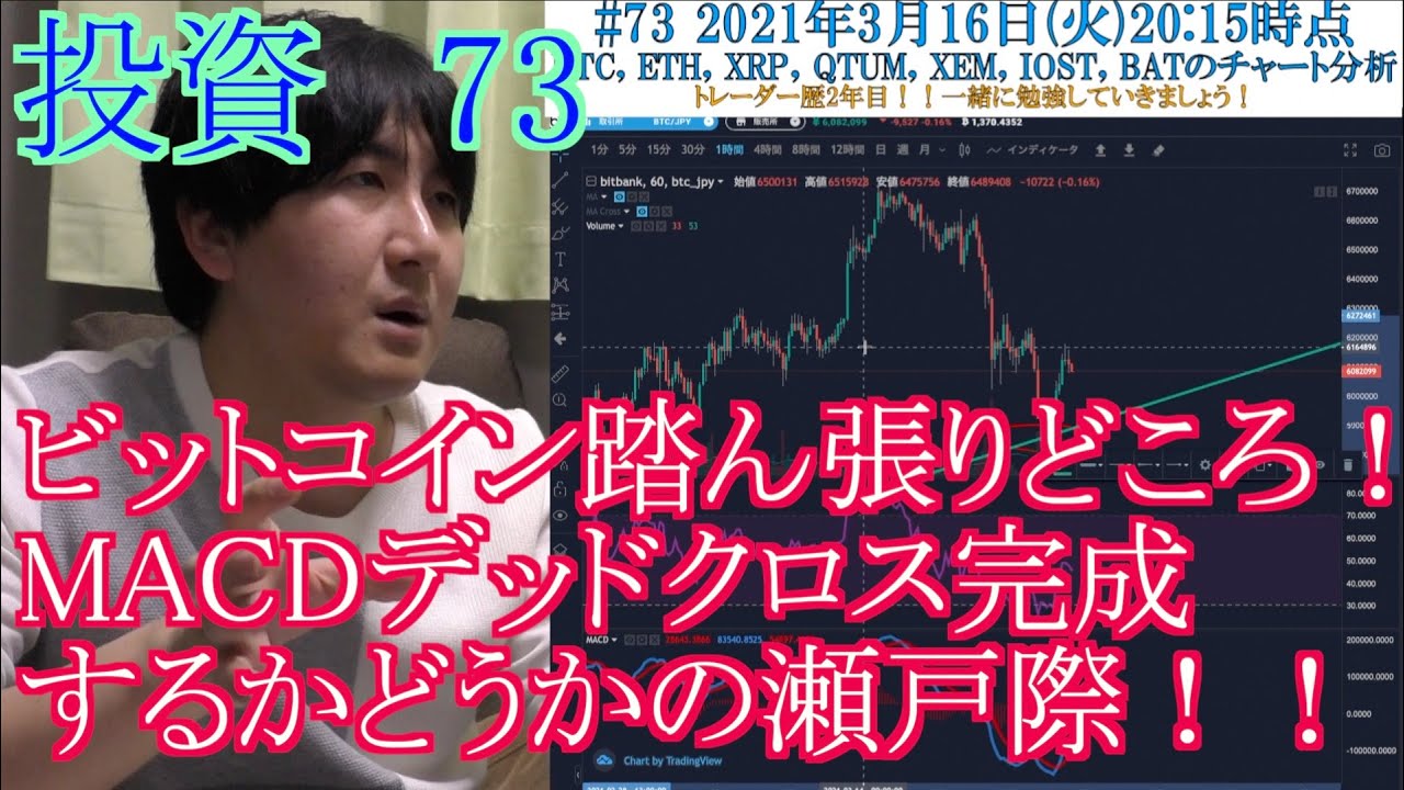 【投資】#73　ビットコイン踏ん張りどころ！！仮想通貨のチャート分析！