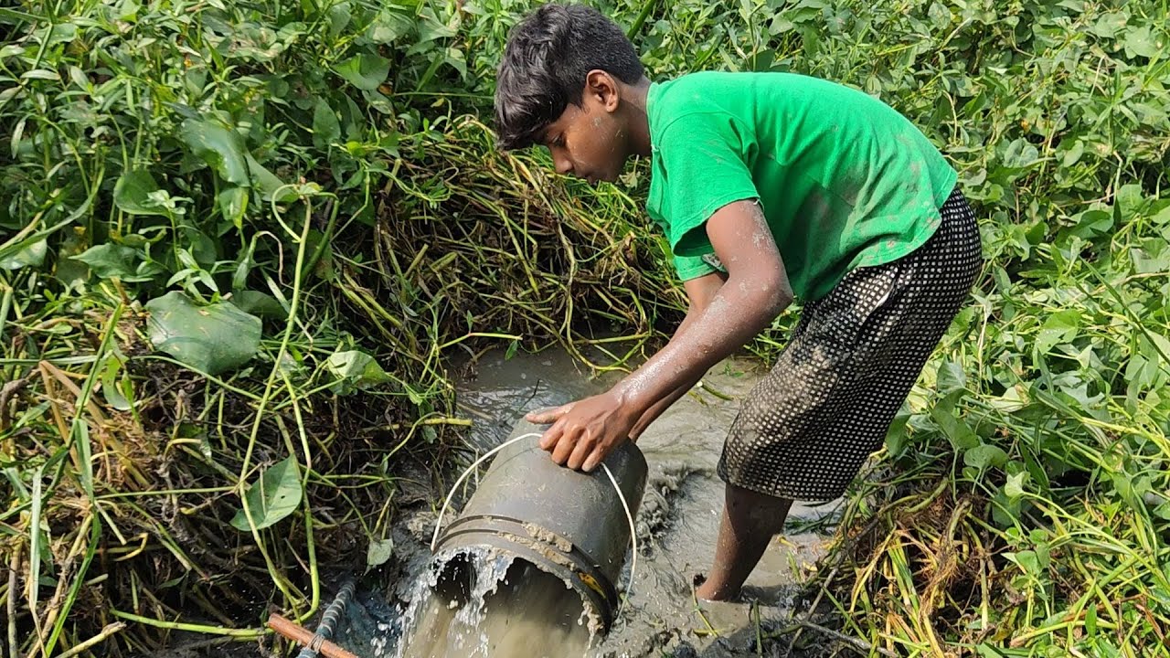 দেশি মাগুর মাছ|| ও ||দেশি সিংহি  মাছ || Kosto Kore Dhorlam||