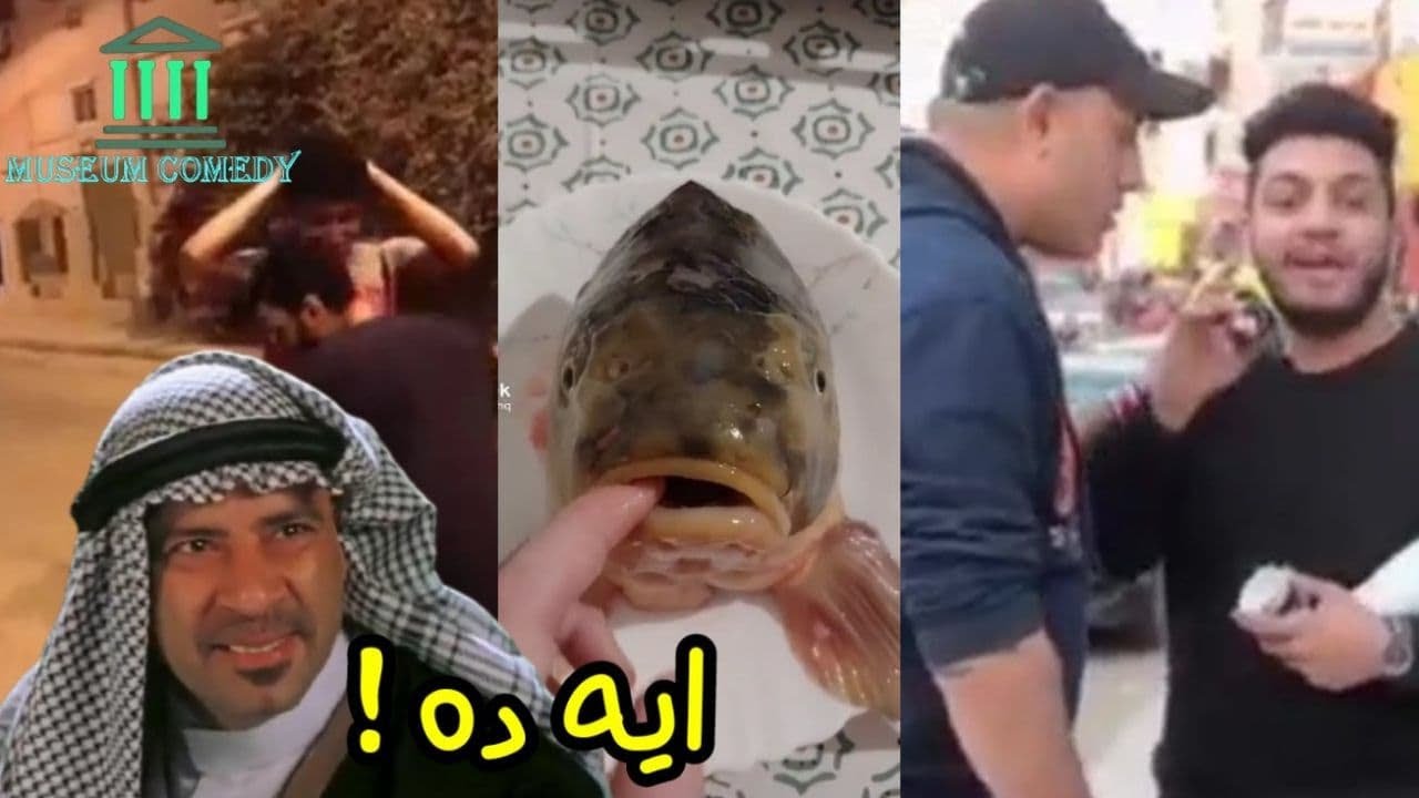 غرائب وعجائب التيك توك - 2 - فيديوهات مضحكه