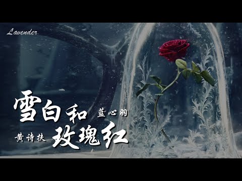 雪白和玫瑰红 - 蓝心羽 × 黄诗扶「要把假的真 对的错,痛的吻 笑的企图,看清楚」