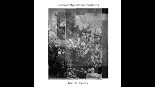 Video thumbnail of "Juan D. Fleitas - Sentimientos Monocromáticos (Full Ep)"