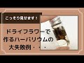 【ハーバリウムの失敗例】これさえ守れば失敗しません♪