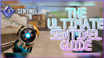The *ULTIMATE* Sentinel Guide You