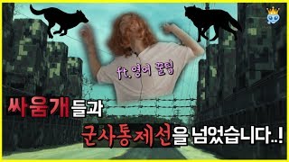 싸움개들 데리고 민간인 통제선을 넘었습니다 ft.영어꿀팁