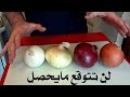 فوائد البصل 3 فقط من ربات البيوت يعرفون عن هذه الحقيقة لم أكن أتخيل ذلك 