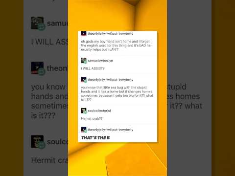 When In Doubt Post On Tumblr