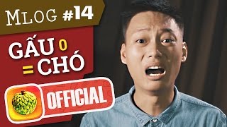 Mlog #14: GẤU... Không Bằng CHÓ!!