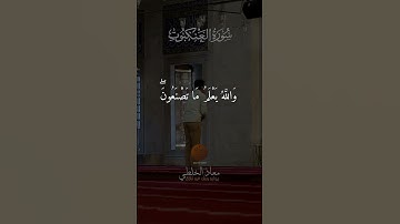 تلاوة مؤثرة بصوت معاذ الخلطي ما تيسر من سورة العنكبوت 📖🌙#تلاوة_القرآن #تلاوات_مؤثرة #القرآن_الكريم