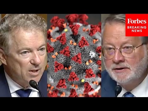 BREAKING NEWS: COVID-19 Lab-Leak Theory &#039;Cover-Up&#039; Probed In Senate Homeland Security Committee