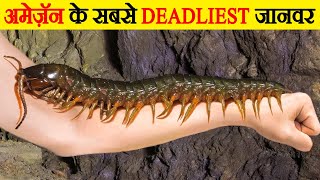 अमेज़ॅन के सबसे घातक जानवर | The Deadliest Animals of the Amazon