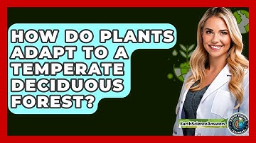 How Do Plants Adapt To A Temperate Deciduous Forest? - Earth Science Answers