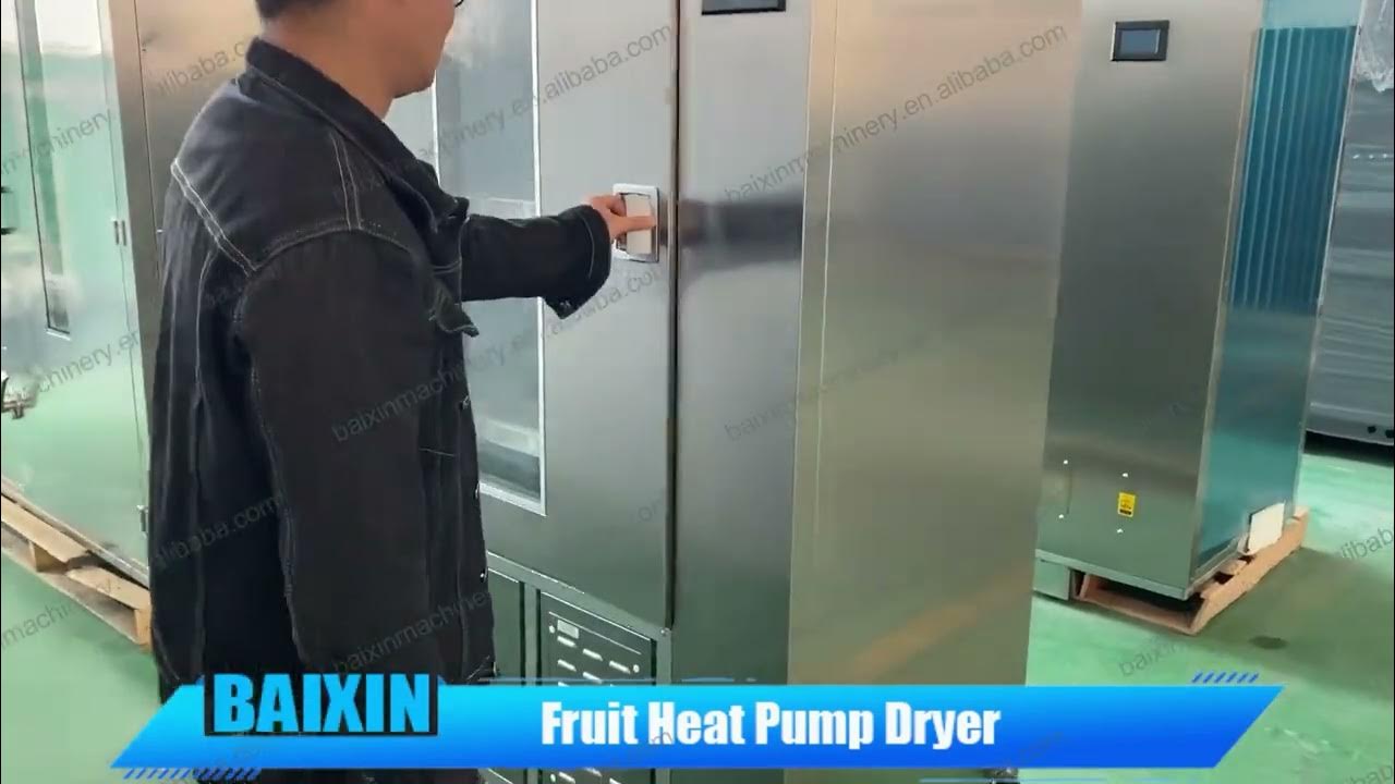 Fruit Drying Machine - Baixin