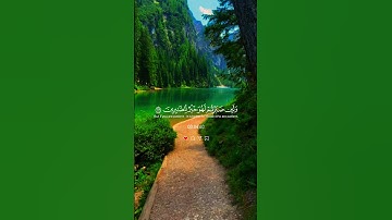 القرآن الكريم سورة النحل { الآيات 126ـ127ـ128 } بصوت 🎙️ الشيخ خالد الجليل ❤️‍🩹🎧🌺