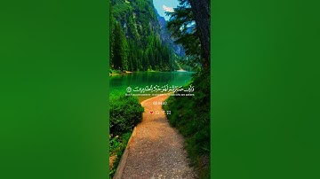 القرآن الكريم سورة النحل { الآيات 126ـ127ـ128 } بصوت 🎙️ الشيخ خالد الجليل ❤️‍🩹🎧🌺