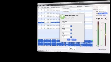 Vinyl mastering in Sonoris DDP Creator 4.1