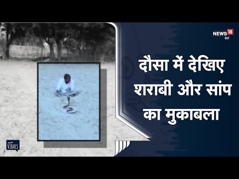 Rajasthan: Dausa में नशे में धुत्त व्यक्ति सांप के साथ घंटों खेलता रहा खौफनाक खेल | Viral Video