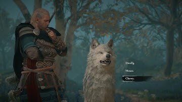 HOW TO GET the WOLF Ability in Assassins Creed Valhalla (Man