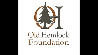Old Hemlock Walk Around by Old Hemlock Foundation 249 views 1 year ago 5 minutes, 20 seconds