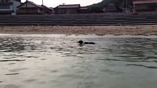 20140720 6