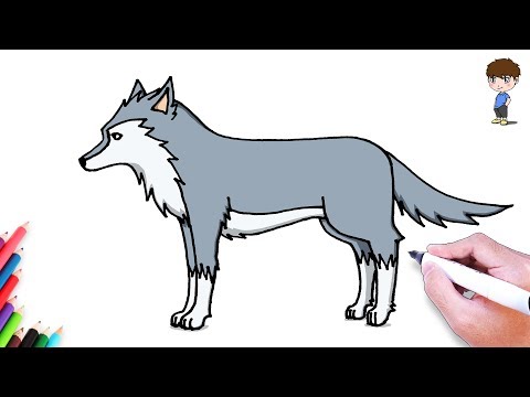 Comment Dessiner un Loup facilement – Dessin Facile a Faire - Dessin de Loup