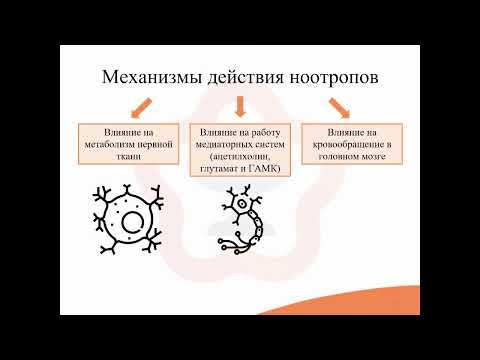 15.4. Ноотропные средства (ноотропы)