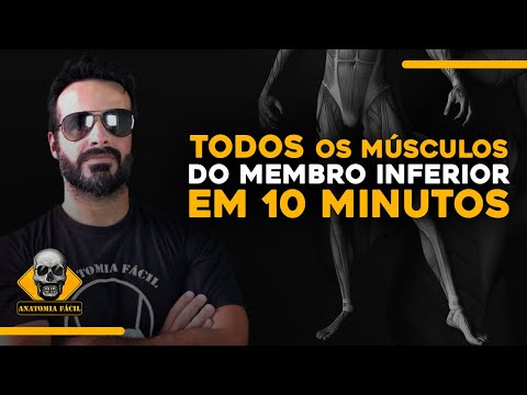 APRENDA TODOS OS MÚSCULOS DO MEMBRO INFERIOR EM 10 MINUTOS