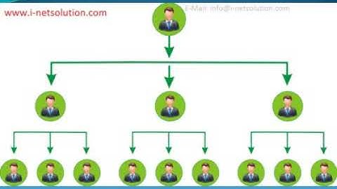 MLM Software Company