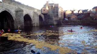 Durham Duck Race 2008