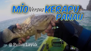 Mio Strike Padu Kerapu Panau..